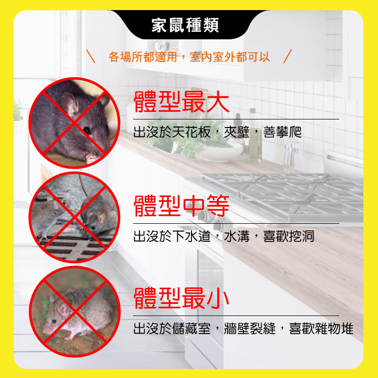 【HAPPY HOUSE快樂屋】第一強效防鼠凝膠120g-買5送1