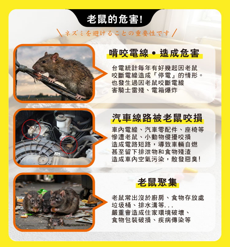 【HAPPY HOUSE快樂屋】第一強效防鼠凝膠120g-買5送1