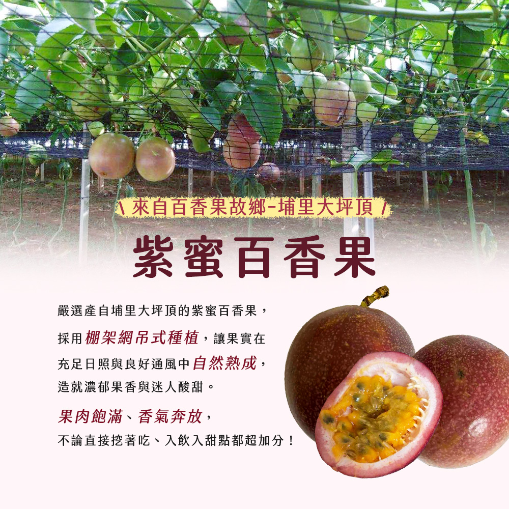 【雪莉朵辣嚴選】紫蜜百香果B果(五斤含箱重/箱;約30-35顆)