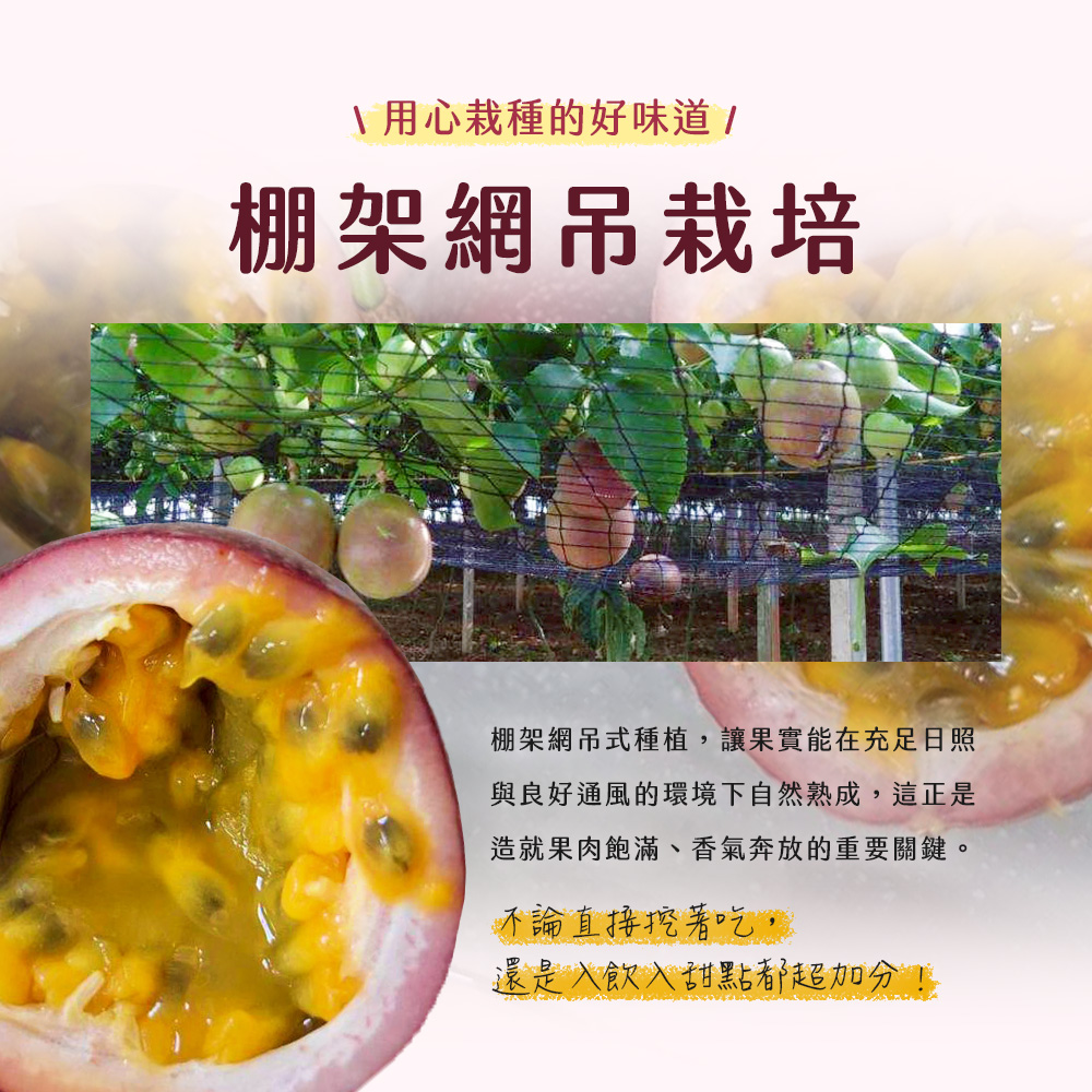 【雪莉朵辣嚴選】紫蜜百香果B果(五斤含箱重/箱;約30-35顆)