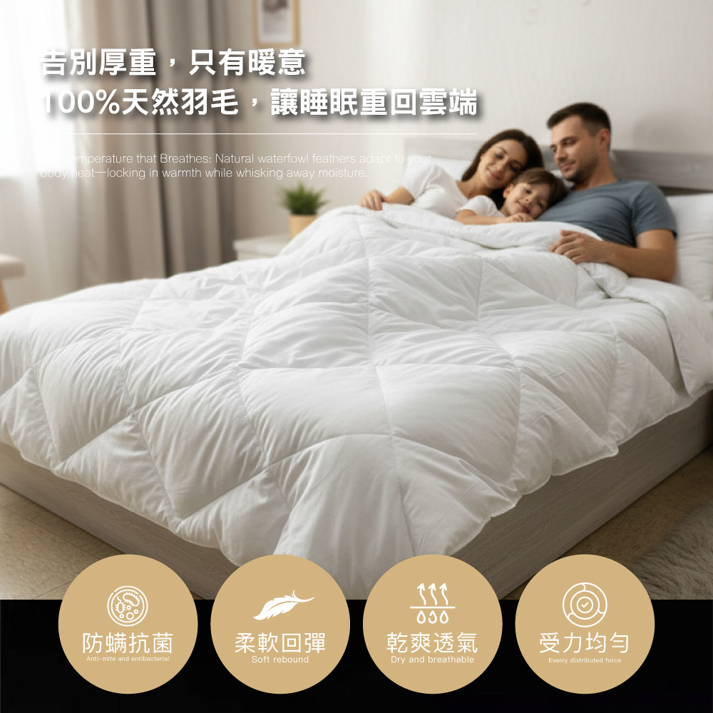 (20260122 新約) 【BEST】台灣製造 100%純天然水鳥羽毛被 100%超細海島纖維防絨布 雙人2.2kg