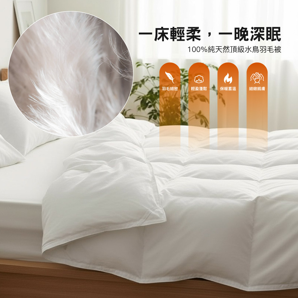 (20260122 新約) 【BEST】台灣製造 100%純天然水鳥羽毛被 100%超細海島纖維防絨布 雙人2.2kg