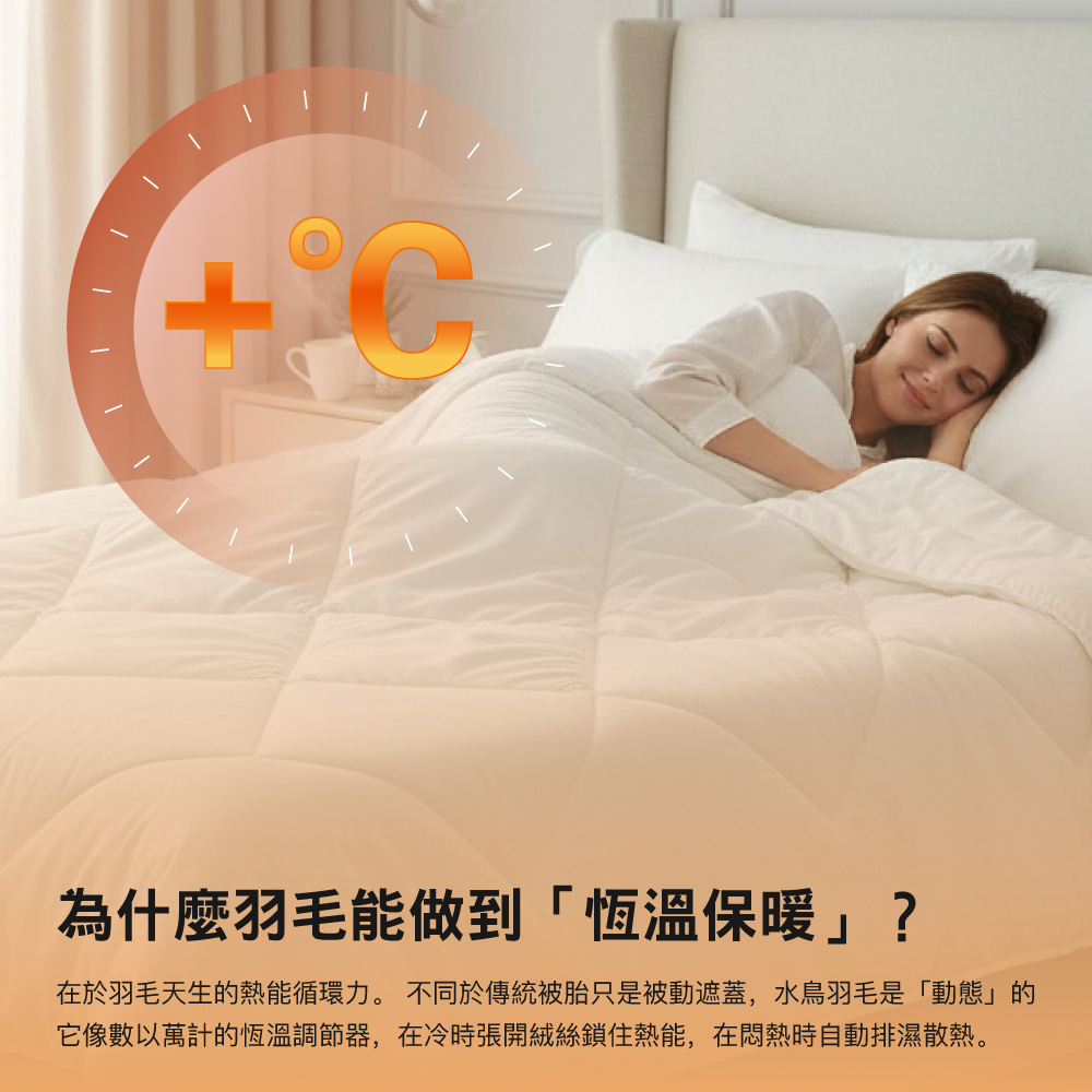 (20260122 新約) 【BEST】台灣製造 100%純天然水鳥羽毛被 100%超細海島纖維防絨布 雙人2.2kg