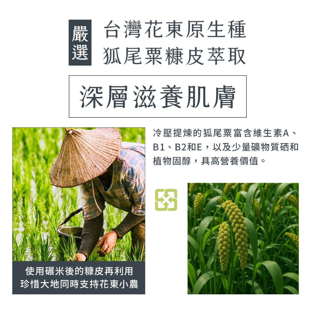 【清淨海】森山島讀沐浴露(山/花/木) 750ml/瓶