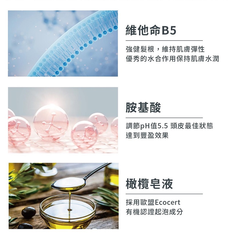 【清淨海】森山島讀洗髮精系列(木/海)750ml/瓶