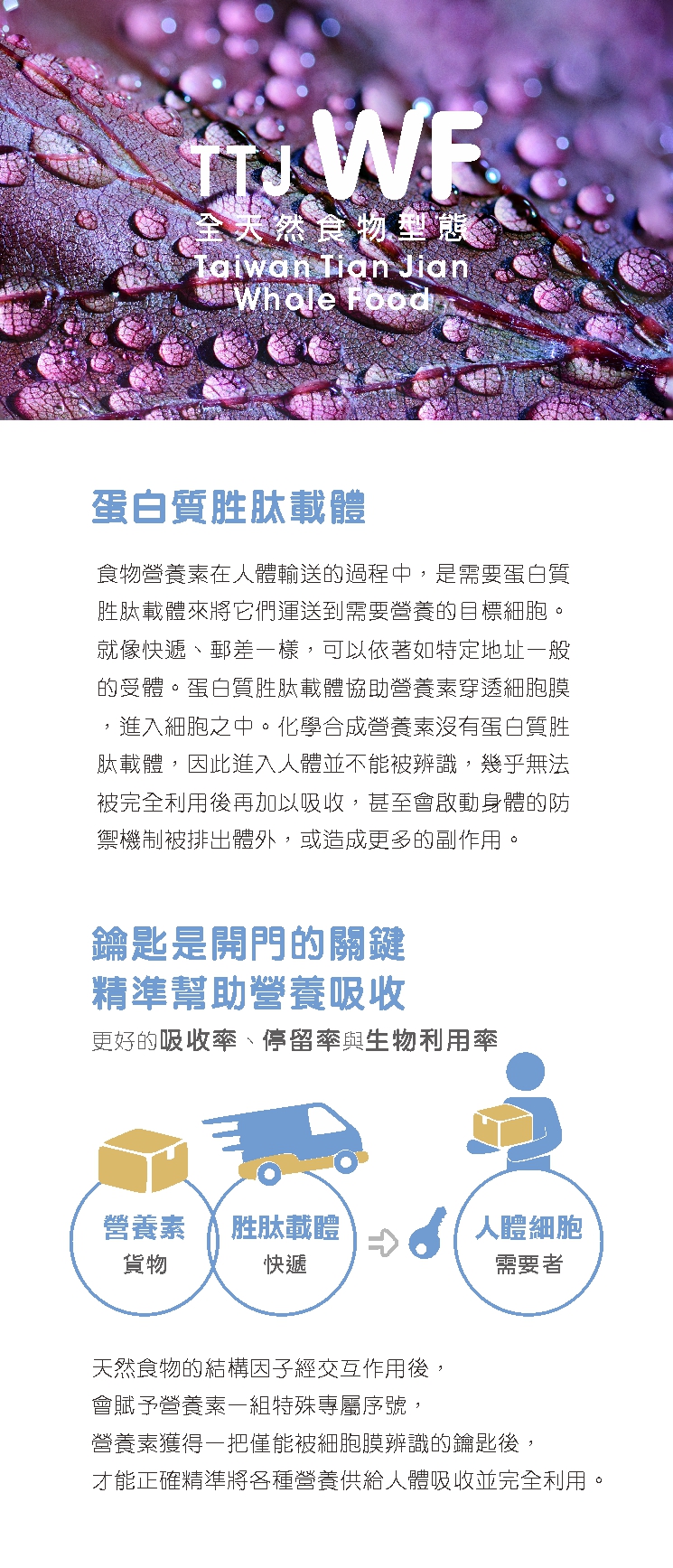 WF綜合維礦康采甘肽補充品