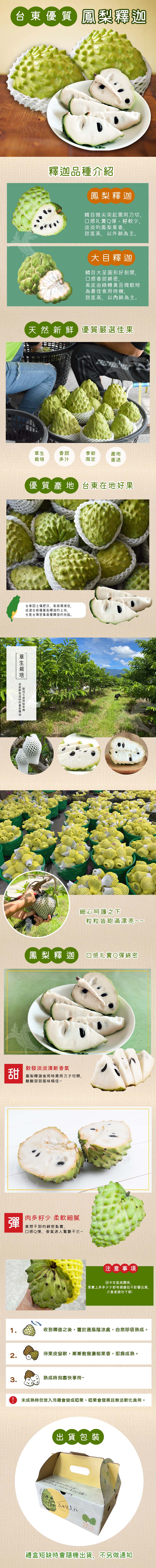 【禾鴻】台東優質鳳梨釋迦10斤/箱(7-11顆/箱,散裝大中顆混箱)