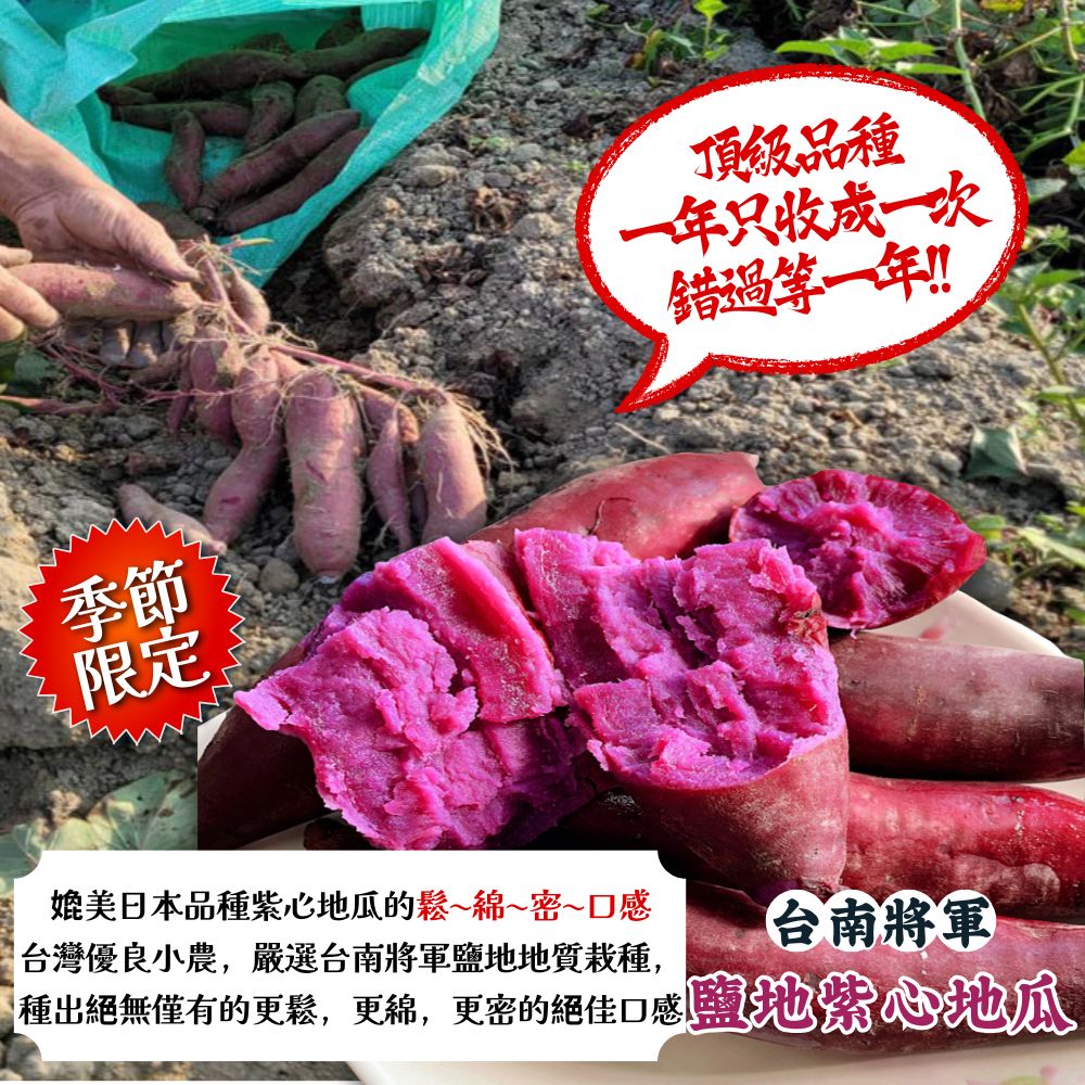(季節限定)台南將軍-紫心地瓜