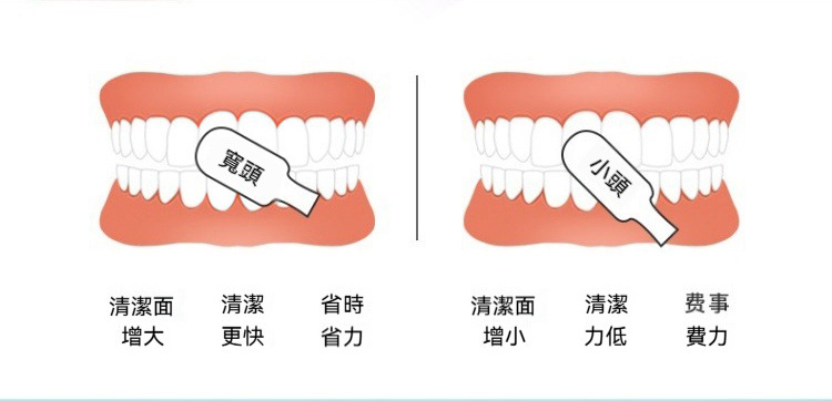 日式寬頭54孔軟毛牙刷(1卡/4支) 細毛 寬版 清潔 齒縫 雙排