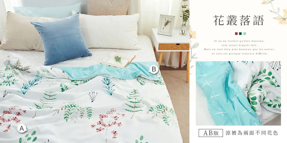 舒柔棉涼被-20260331新增