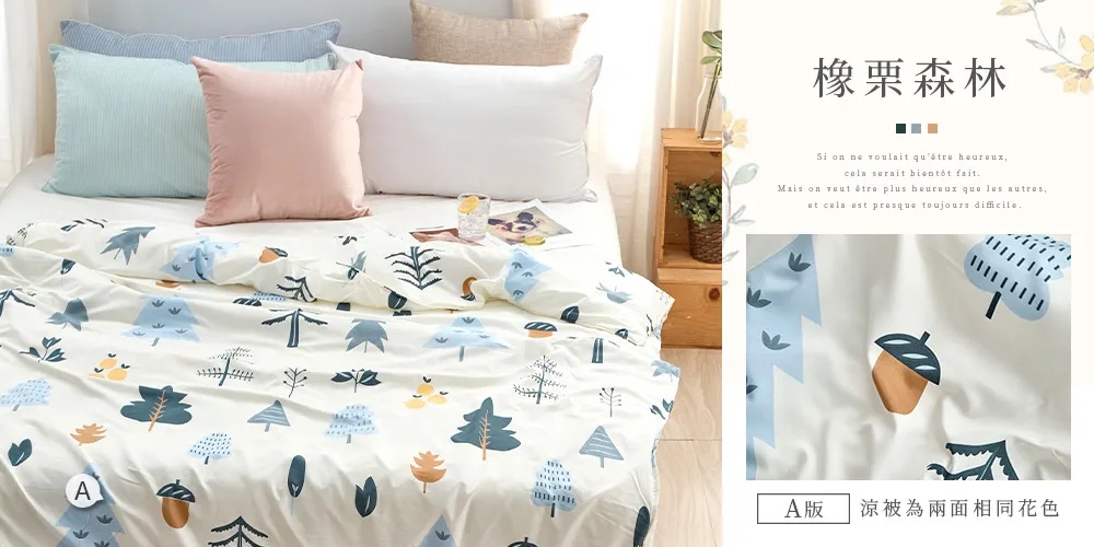 舒柔棉涼被-20260331新增