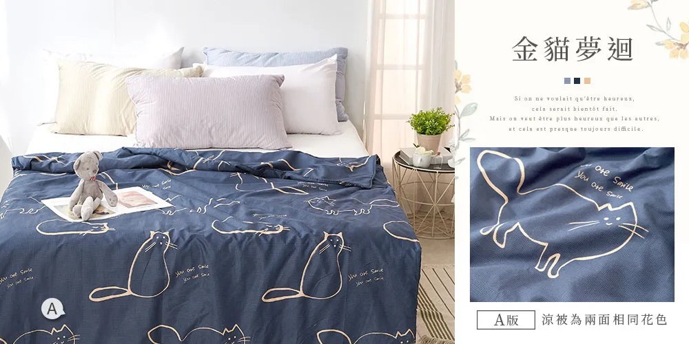 舒柔棉涼被-20260331新增