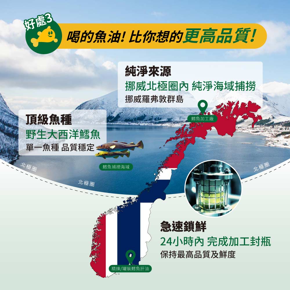 Mollers睦樂 鱈魚肝油250ml -檸檬風味 (有效期限:2027.02)
