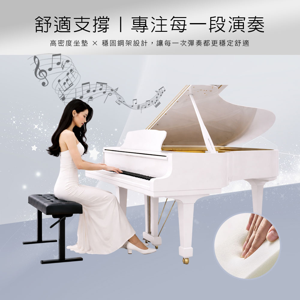 HANLIN-PJ060SF【寬版沙發】雙液壓單人升降椅