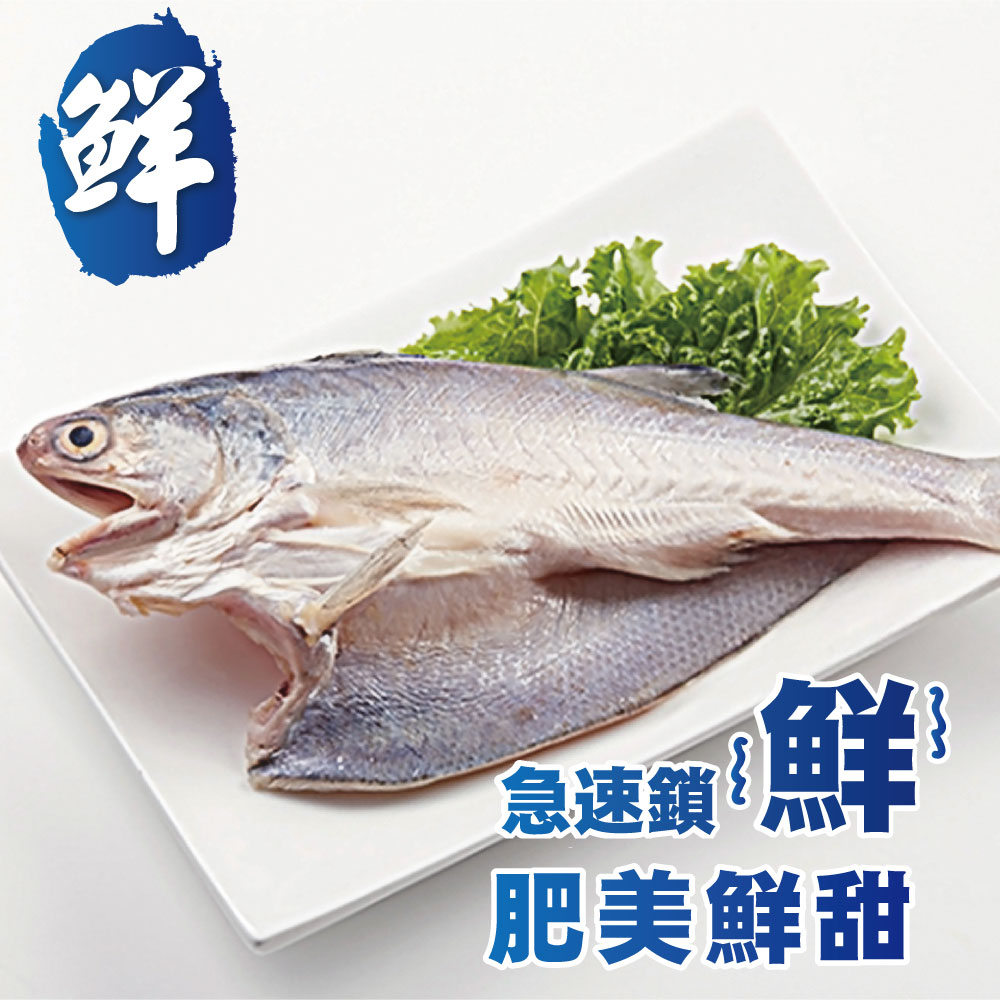 【勝崎生鮮】午仔魚一夜干(1片-200公克)