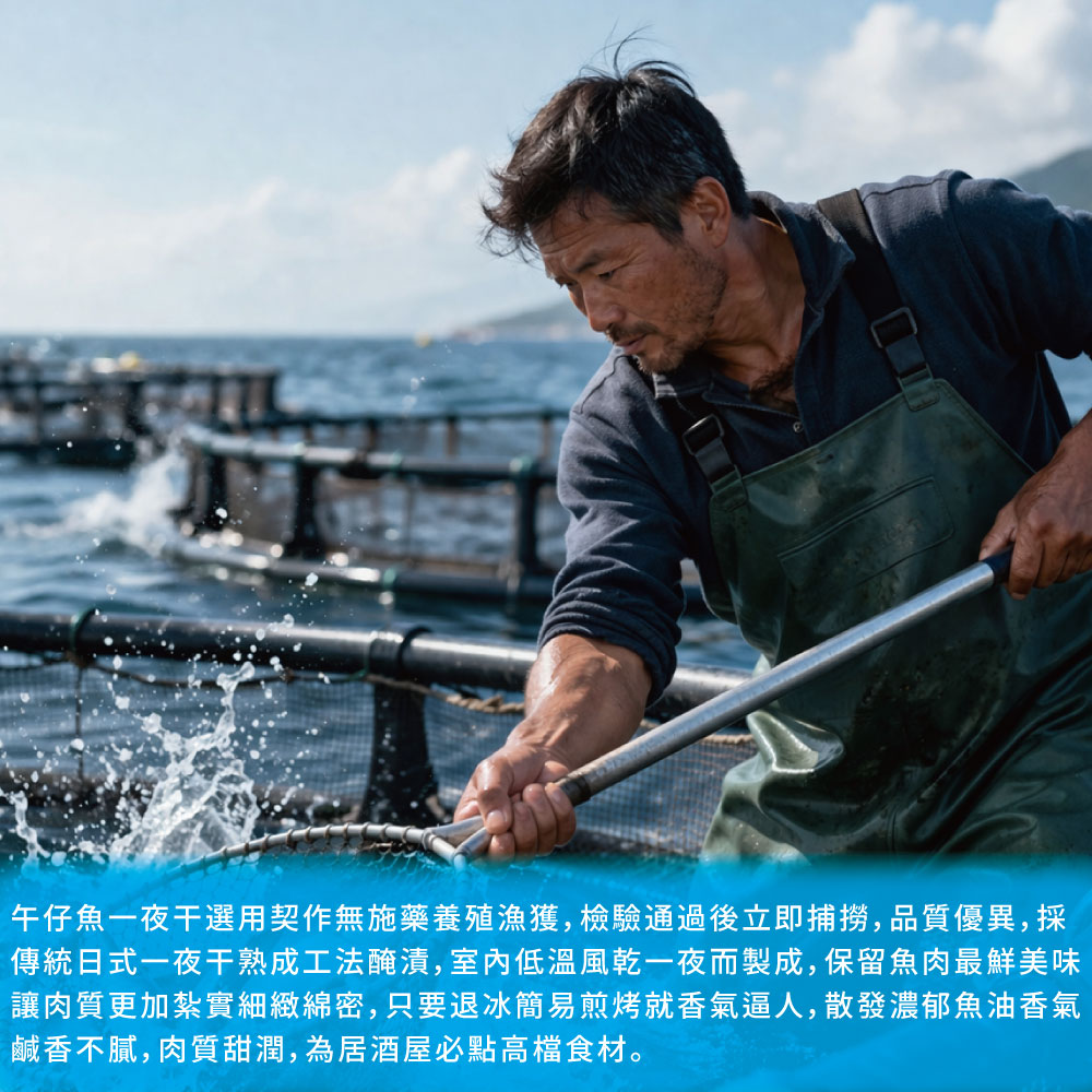 【勝崎生鮮】午仔魚一夜干(1片-200公克)