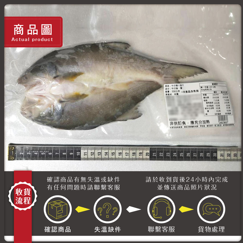 【勝崎生鮮】午仔魚一夜干(1片-200公克)