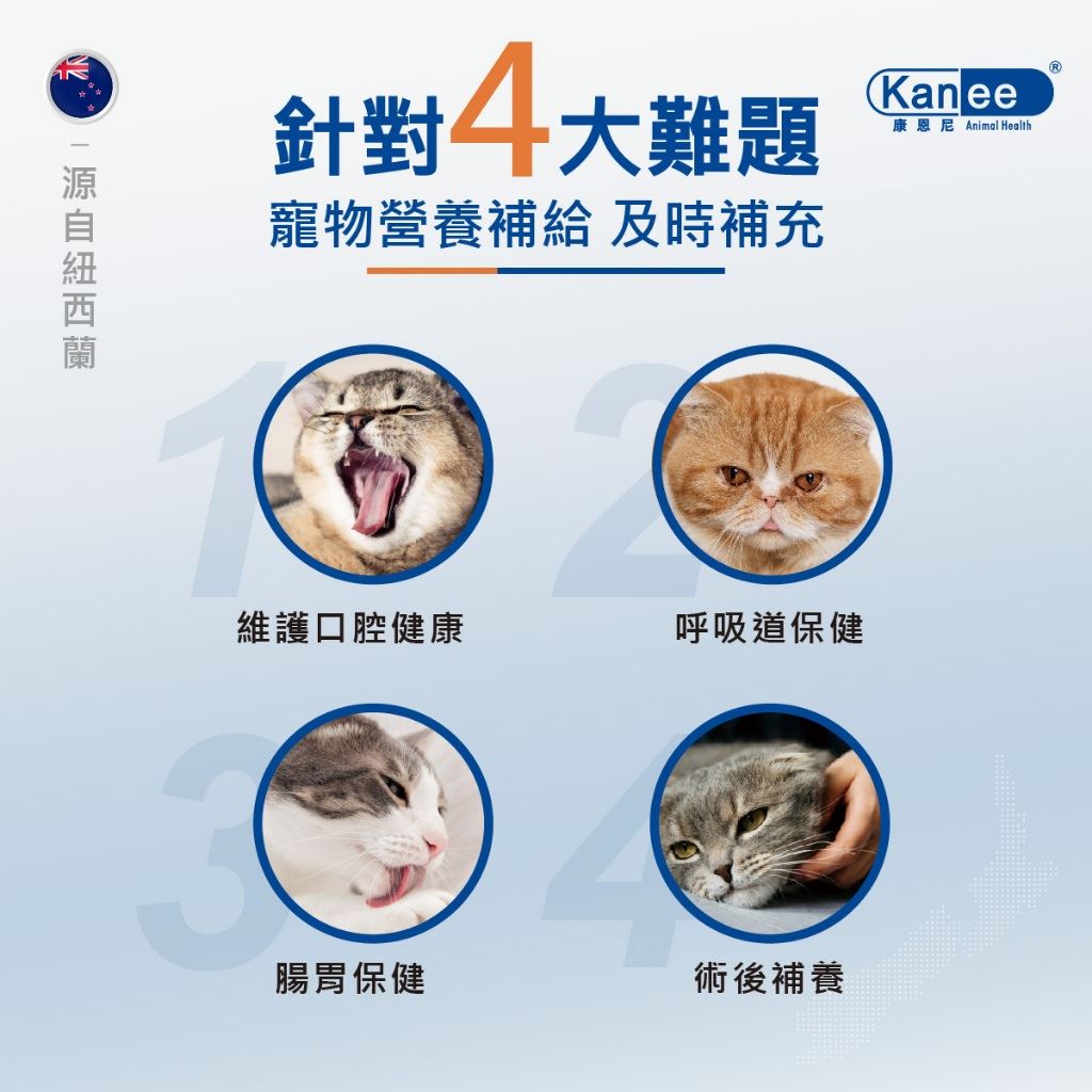 KANEE康恩尼 巧克力膏 犬貓營養補充