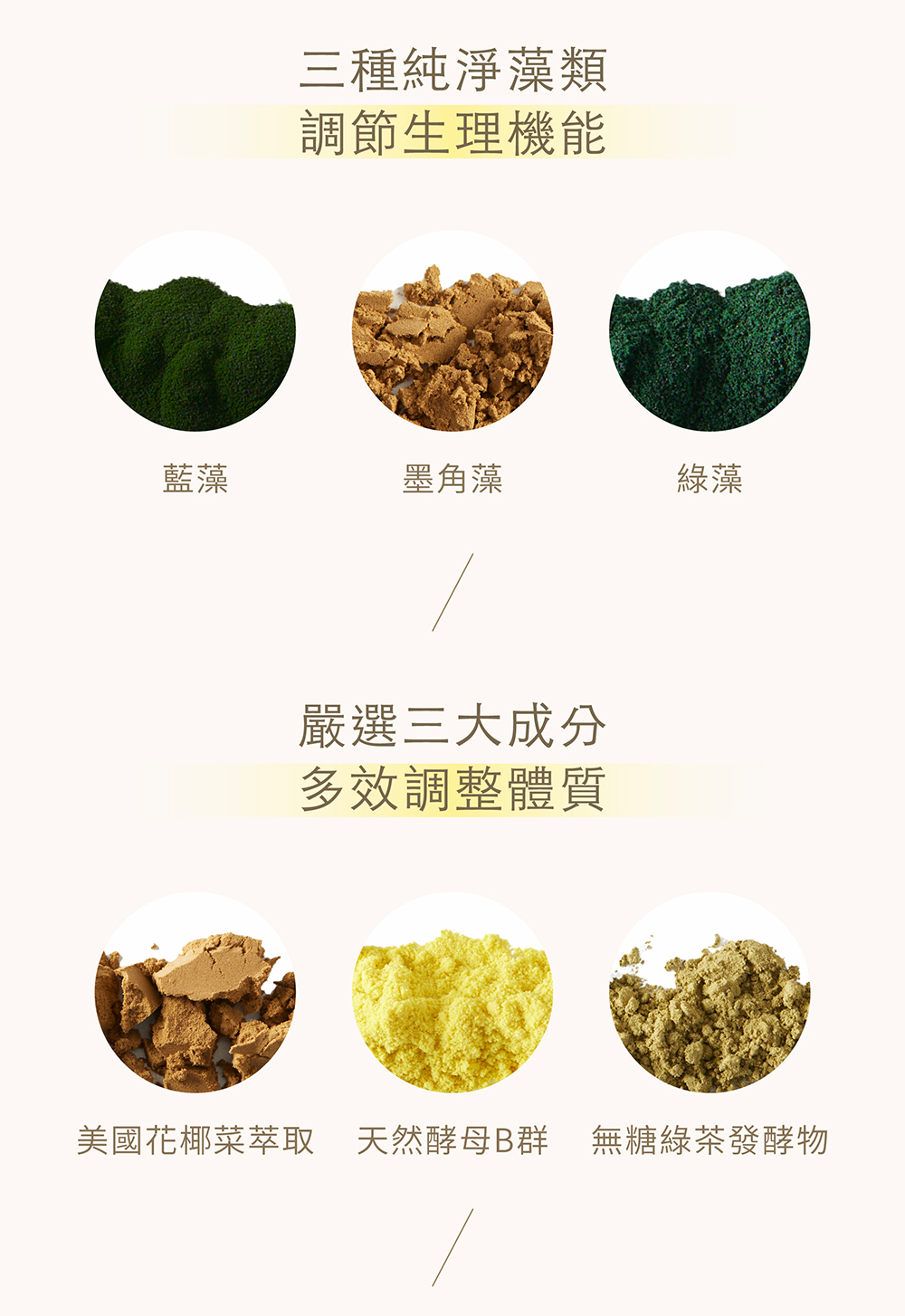 【Natural365】每日的綠色營養-綠拿鐵 營養與纖維一次到位