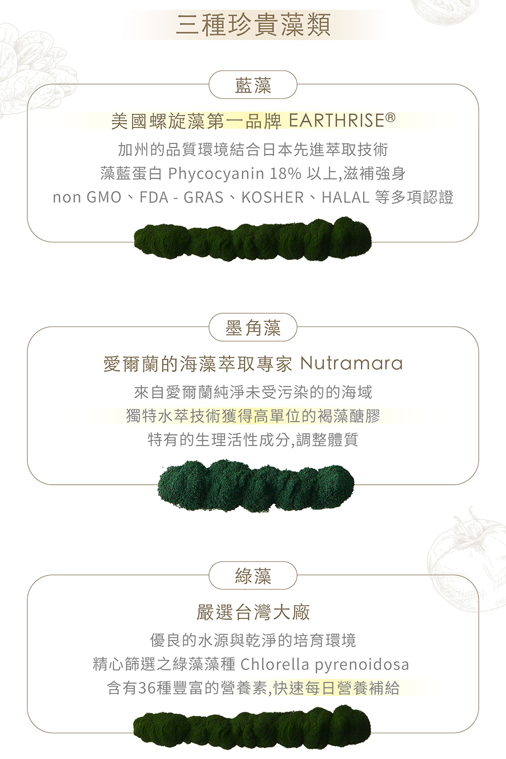 【Natural365】每日的綠色營養-綠拿鐵 營養與纖維一次到位