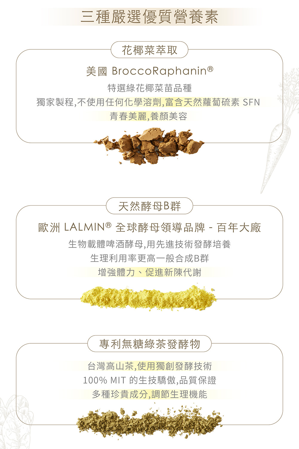 【Natural365】每日的綠色營養-綠拿鐵 營養與纖維一次到位