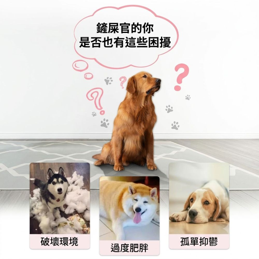 耐咬橡膠輪胎寵物玩具 互動訓練磨牙潔齒啃咬玩具 中大型犬適用
