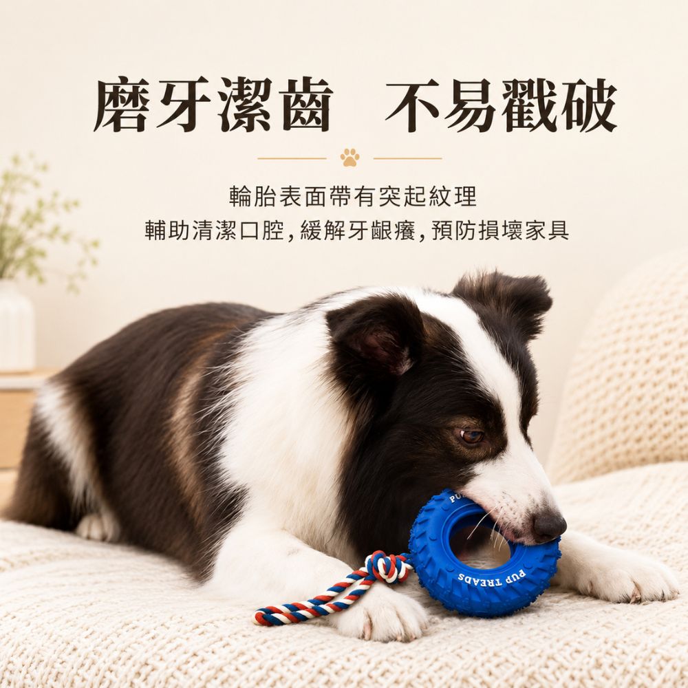 耐咬橡膠輪胎寵物玩具 互動訓練磨牙潔齒啃咬玩具 中大型犬適用