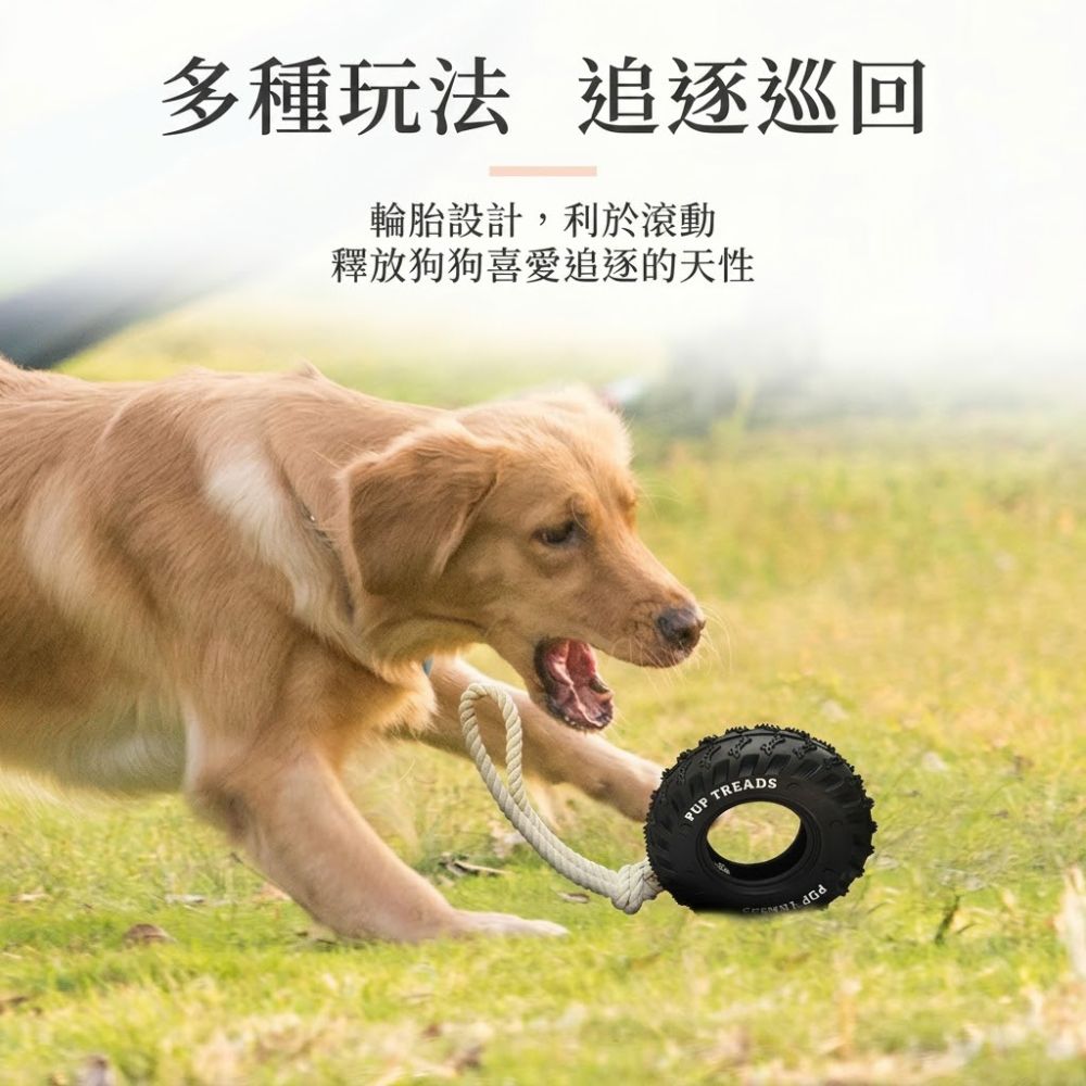 耐咬橡膠輪胎寵物玩具 互動訓練磨牙潔齒啃咬玩具 中大型犬適用