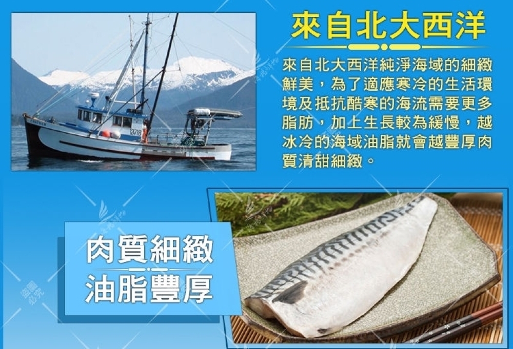 5L特大挪威薄鹽鯖魚|無紙板220-250g