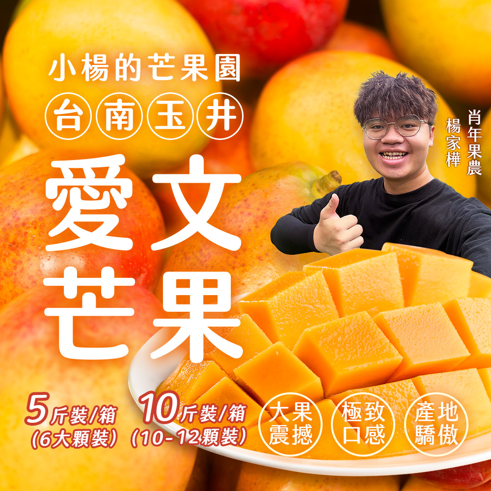 小楊的芒果園【台南玉井】愛文芒果 6顆(五斤)/10-12顆(十斤)/箱