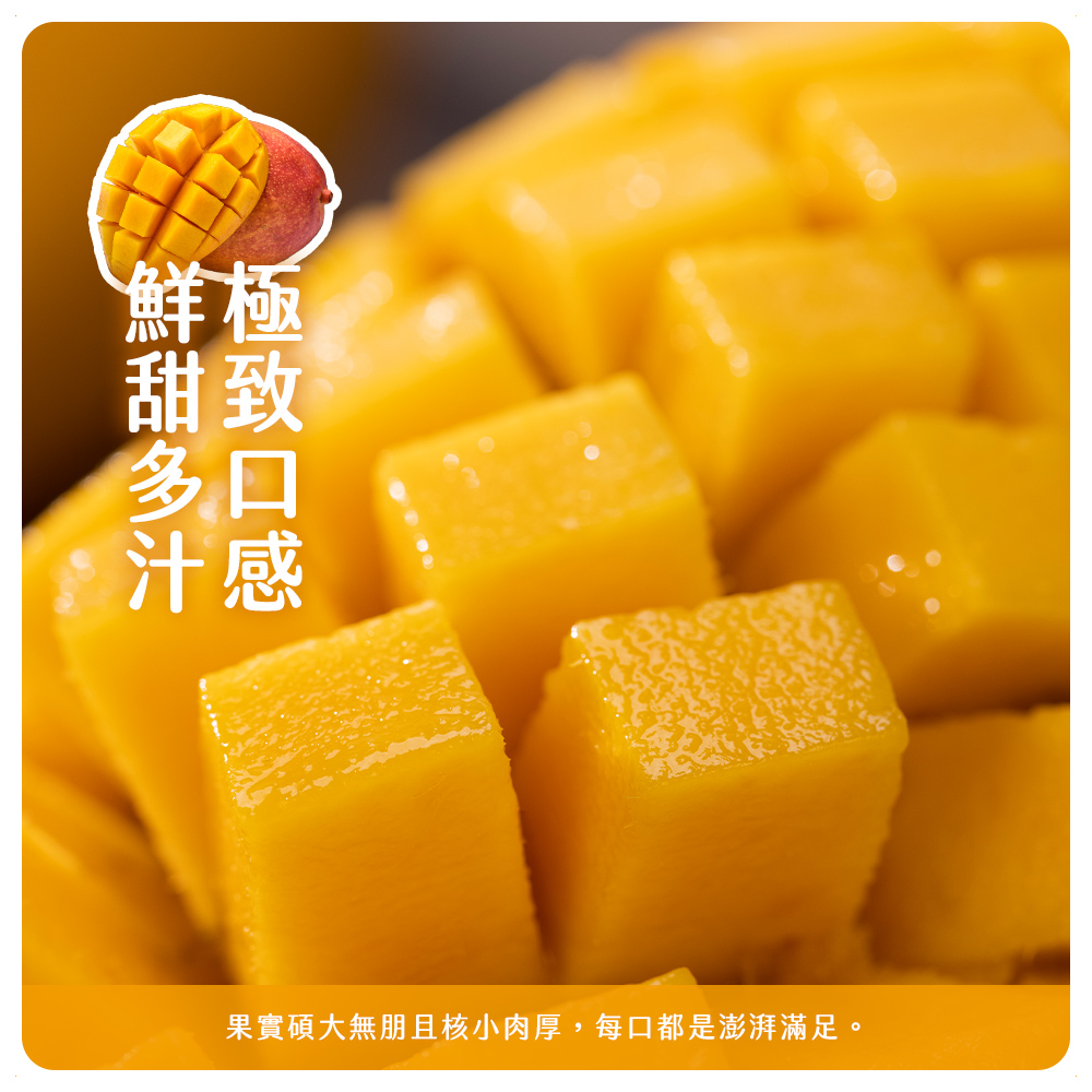 小楊的芒果園【台南玉井】愛文芒果 6顆(五斤)/10-12顆(十斤)/箱