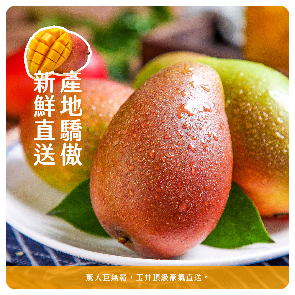 小楊的芒果園【台南玉井】愛文芒果 6顆(五斤)/10-12顆(十斤)/箱