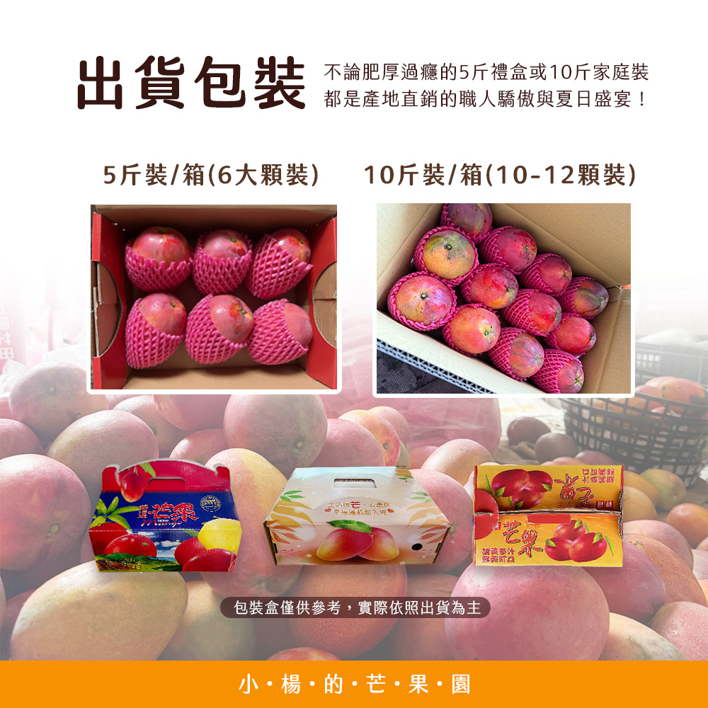 小楊的芒果園【台南玉井】愛文芒果 6顆(五斤)/10-12顆(十斤)/箱