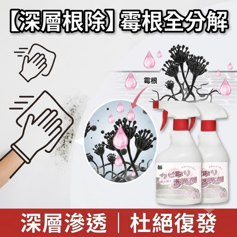 【黴絕淨】除霉清潔劑 專除潮濕黑斑霉根