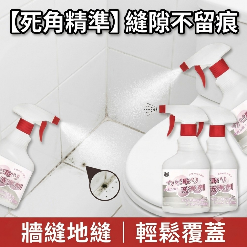 【黴絕淨】除霉清潔劑 專除潮濕黑斑霉根