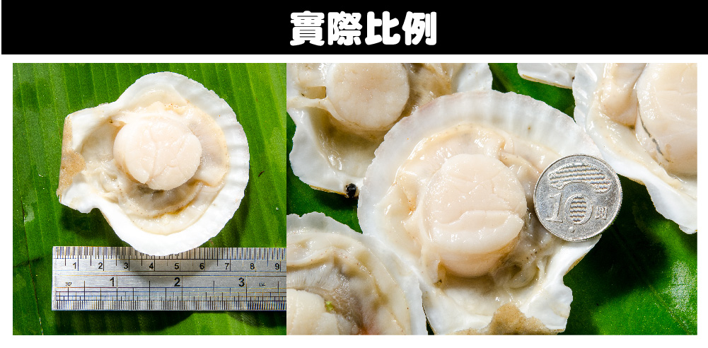【鮮綠生活】鮮美大扇貝300g 約7-10顆