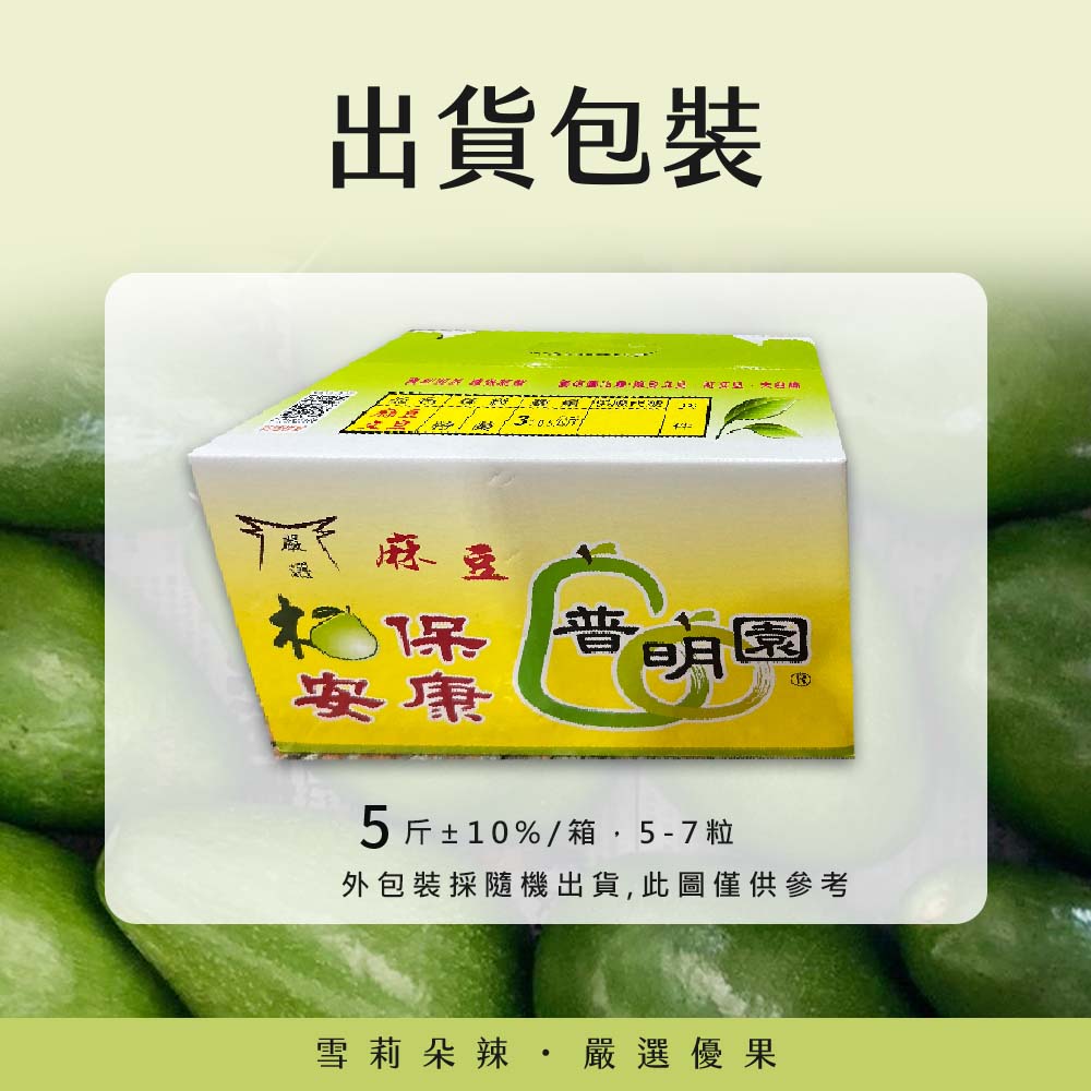 【雪莉朵辣嚴選】台南麻豆酪梨 5斤(5-7顆) /箱