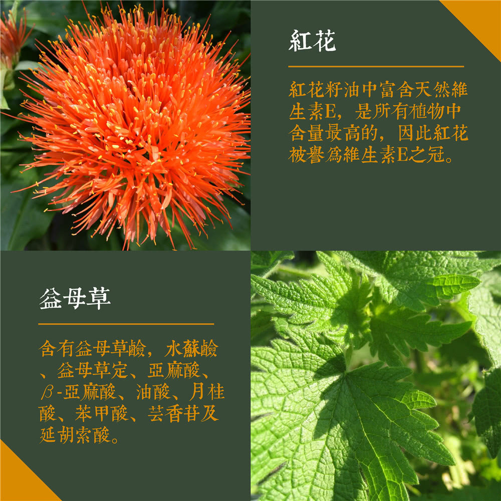 【HL】草本養生艾草足浴包30g/包(獨立包裝) 泡腳 旅行包 艾草包