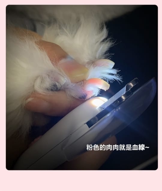【雙11限定】防剪傷LED照明寵物專用指甲剪