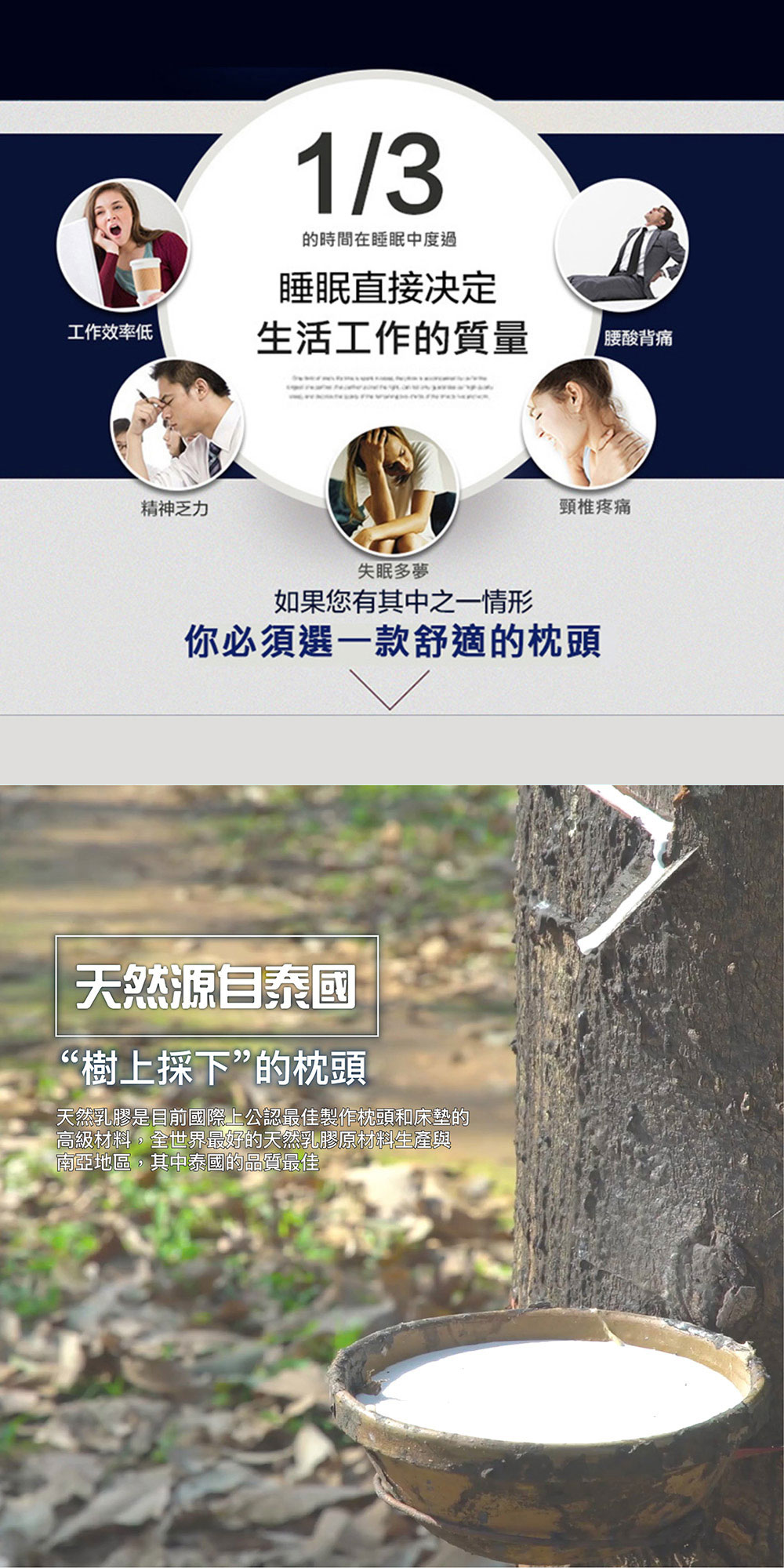 【BEST】100%泰國乳膠枕 多款可選 贈可愛收納籃