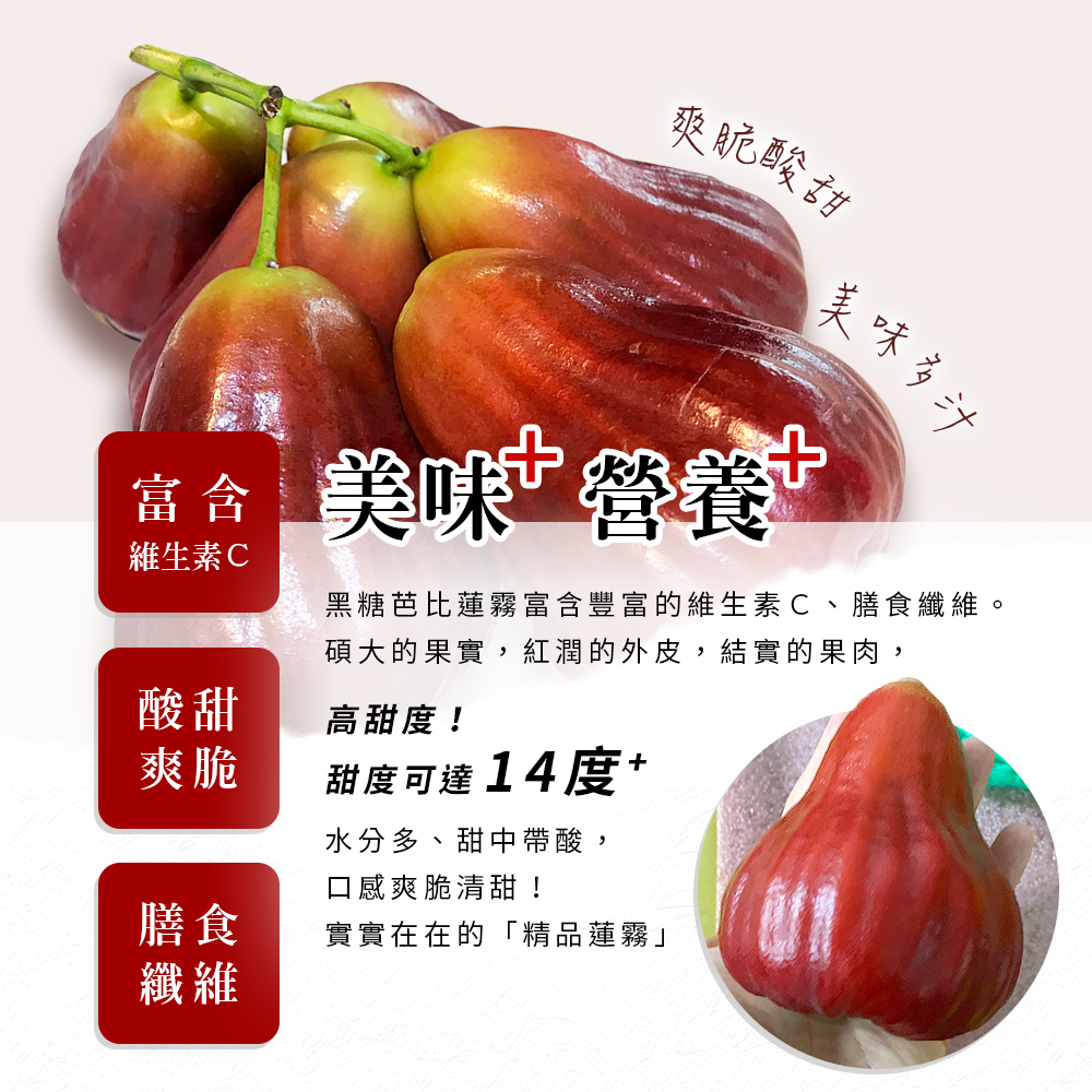 【雪莉朵辣嚴選】黑糖芭比蓮霧3斤(9-11粒) 水果