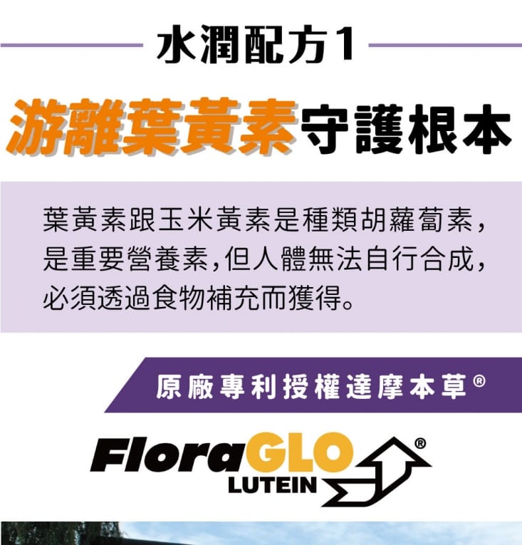 【達摩本草】玻尿酸美國專利Kemin游離型葉黃素膠囊 (30粒/包)