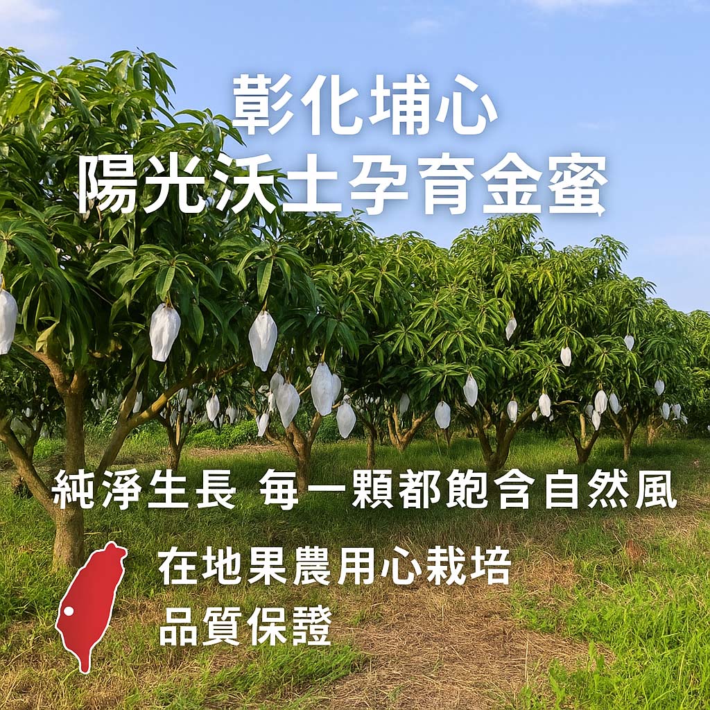 【雪莉朵辣嚴選】金蜜芒果2.5kg(中果6-8粒、大果5粒/箱) 箱購水果