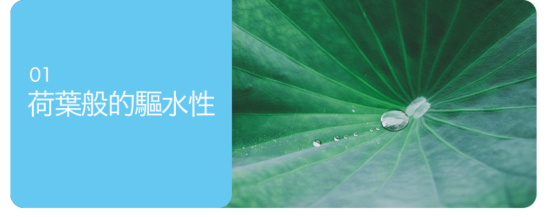 極淨車用玻璃防水鍍膜劑 100ml (汽車鍍膜劑/奈米級養護/防塵抗汙)