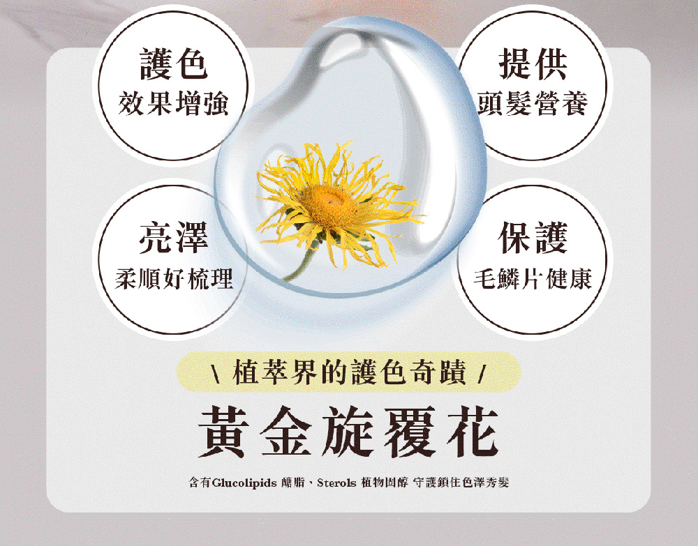 【PureHome無毒家園】植萃護色洗髮精480ml