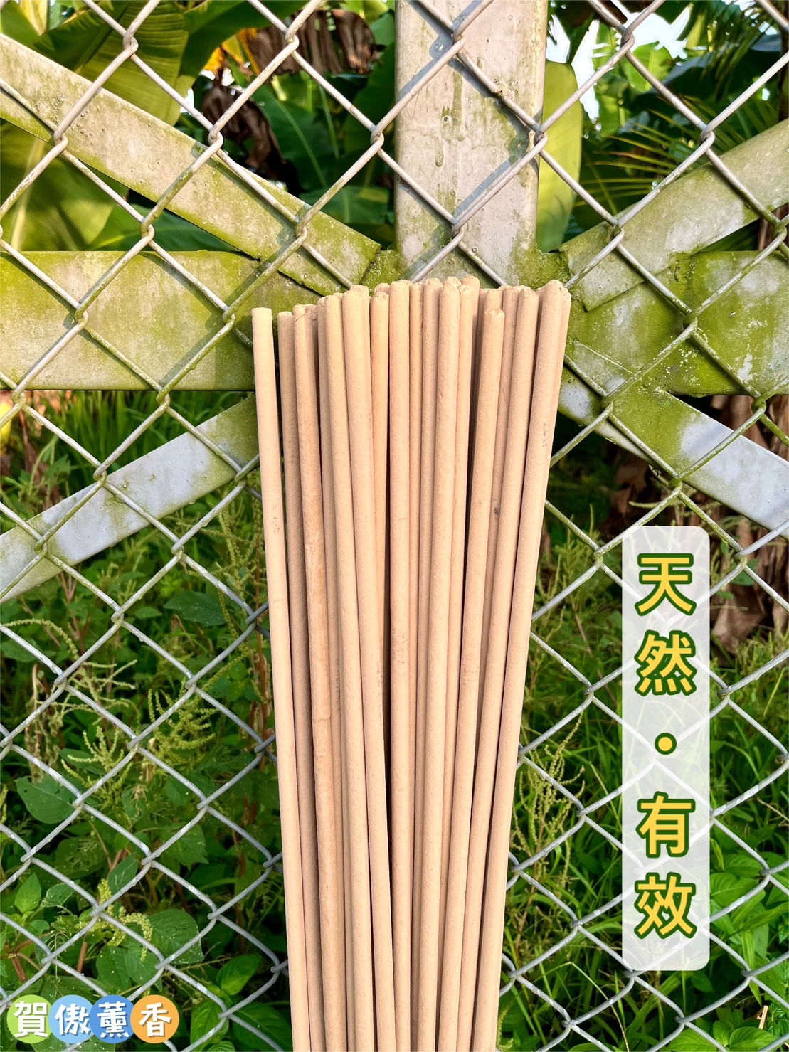 特濃天然艾草蚊香棒 60/120公分