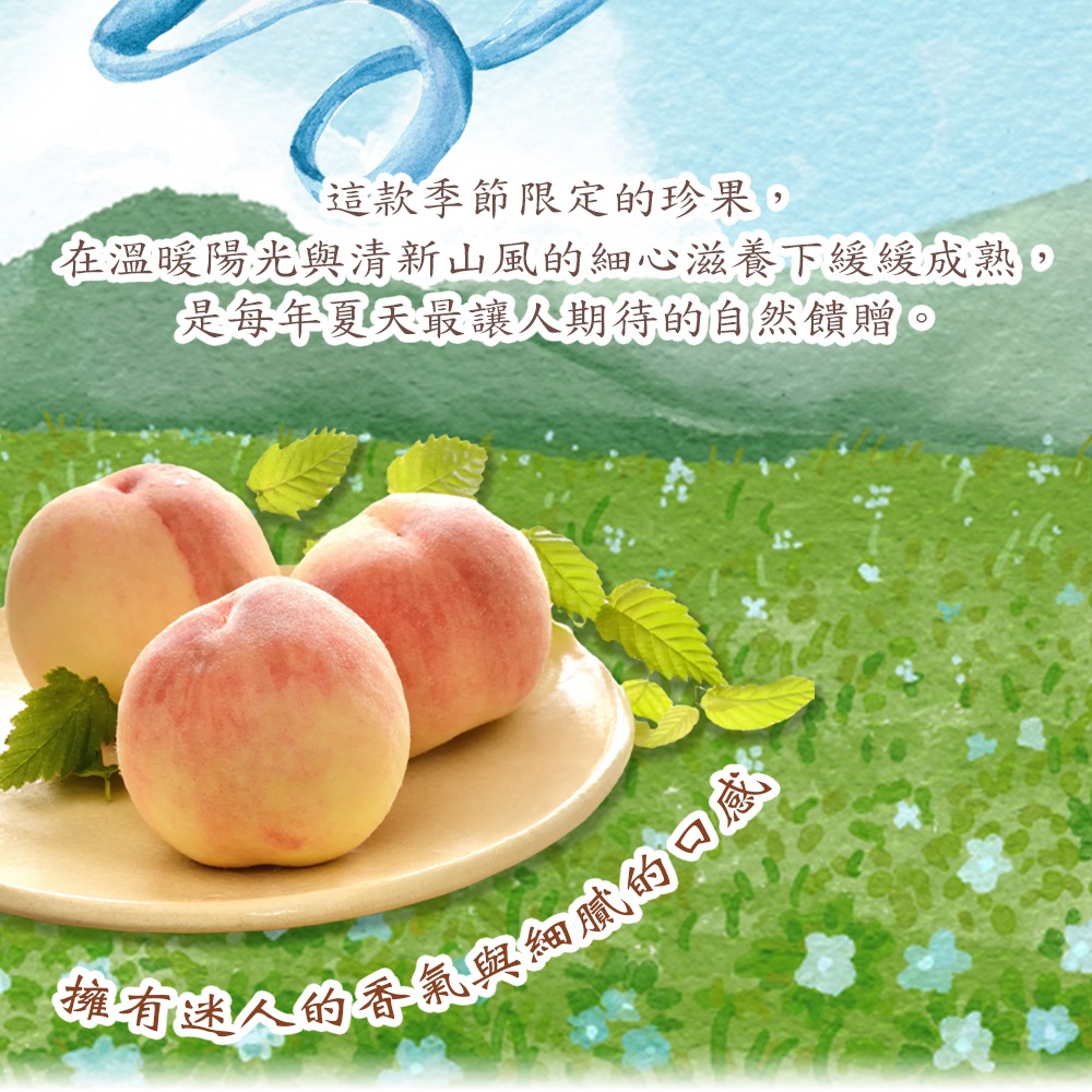 【禾鴻】台中新社夏蜜水蜜桃禮盒(3斤,6顆裝/8顆裝) 蜜桃 桃子 水果禮盒