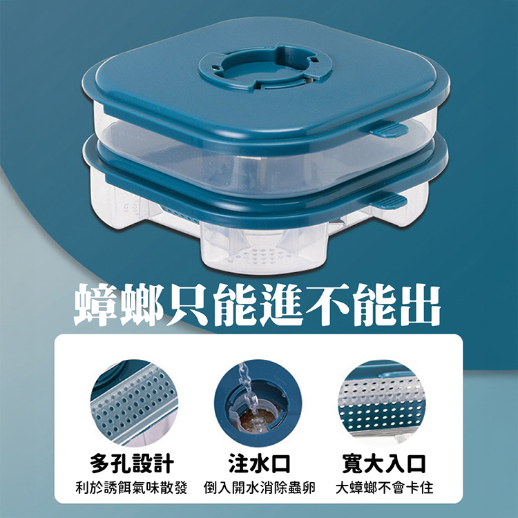 雙層結構高效滅蟑盒 蟑螂誘捕器 誘捕盒 蟑螂屋