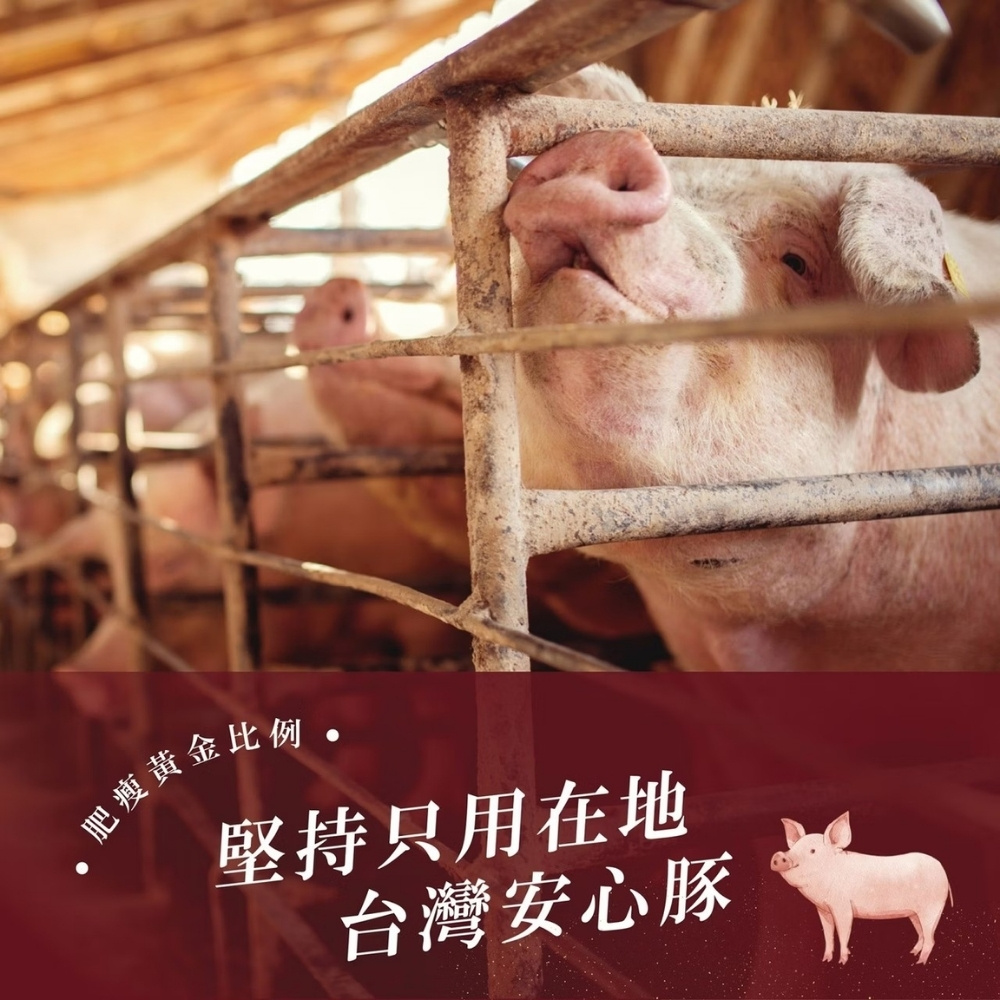 【初誠良物】厚切豬肉條100g(黑胡椒/蒜味/蜜汁/麻辣) 豬肉乾 肉乾 肉條