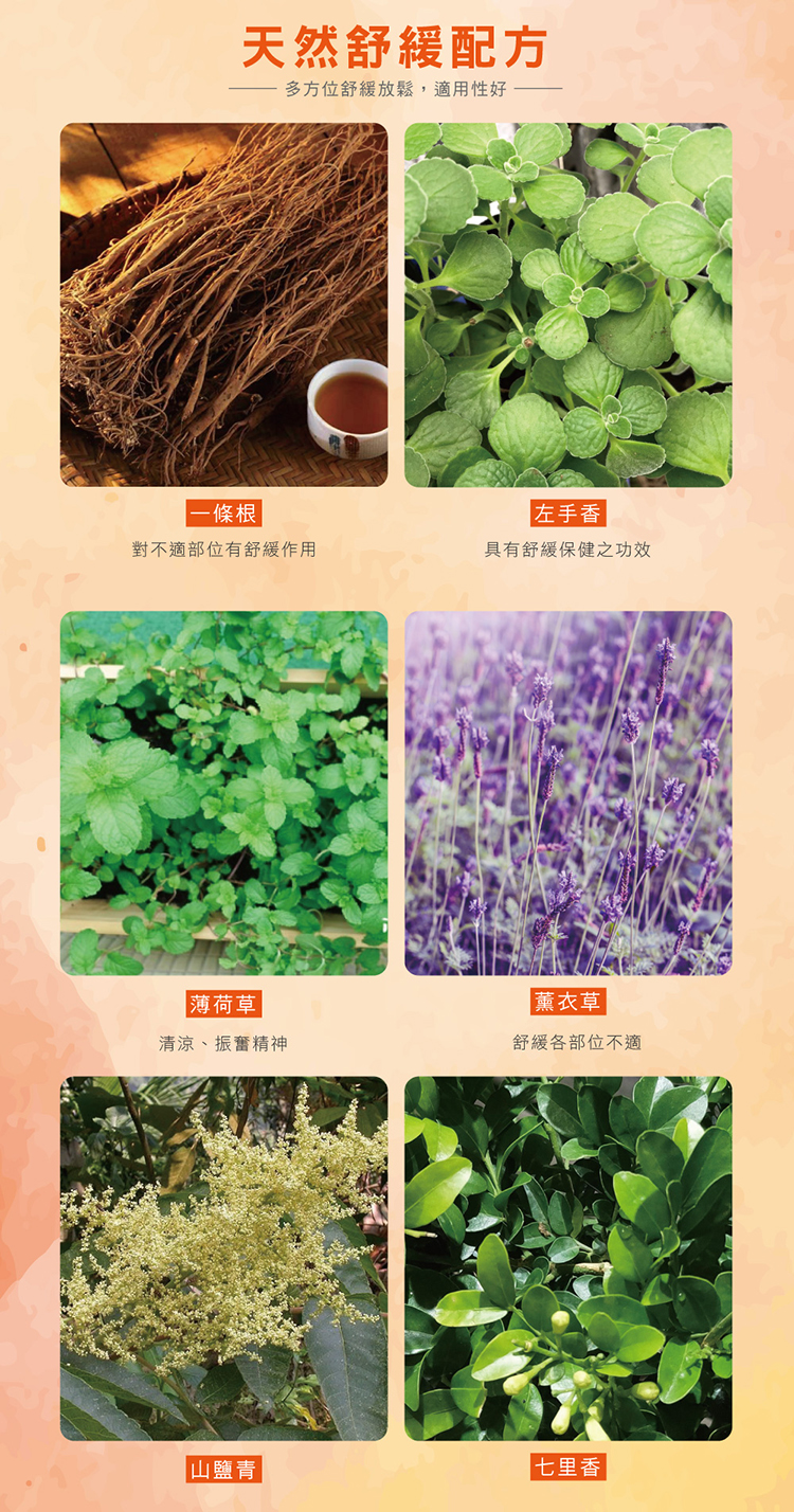 【正金牌】一條根電氣石貼布系列 電氣石貼布/舒緩貼片/肩頸用小貼布